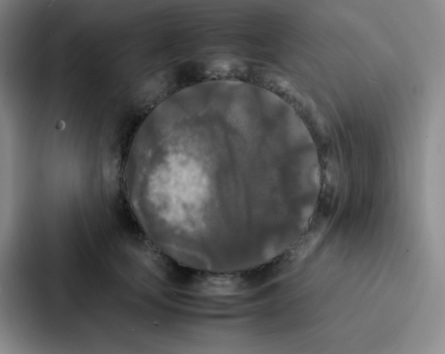 X0000086920659200705141723