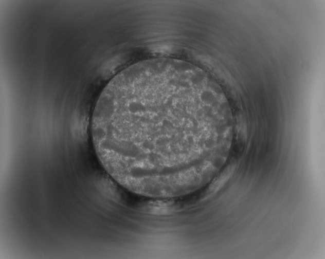 X0000086920660200705141723
