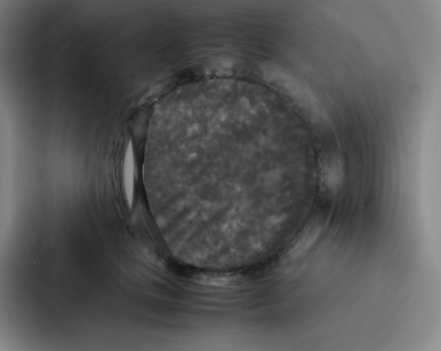 X0000086920661200705141723