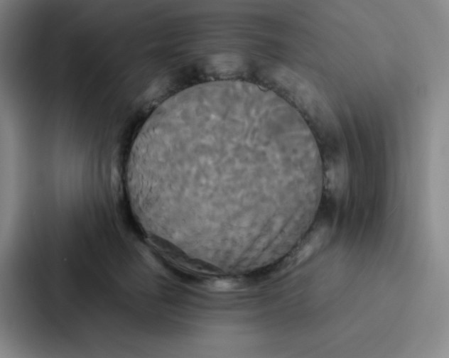 X0000086920662200705141723