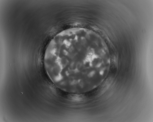 X0000086920663200705141723