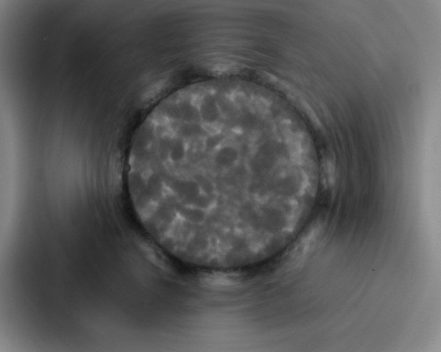 X0000086920664200705141723