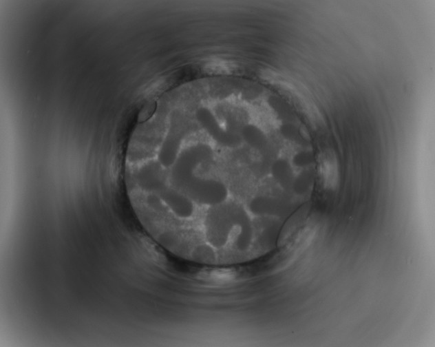 X0000086920665200705141723