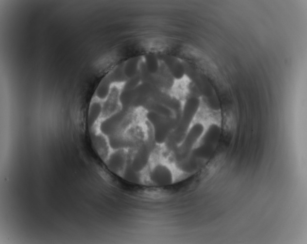 X0000086920666200705141723