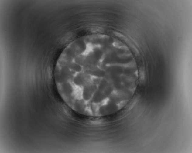 X0000086920667200705141723