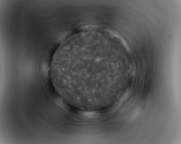 X0000086920669200705141723