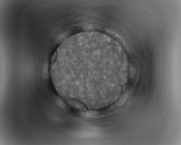 X0000086920670200705141723