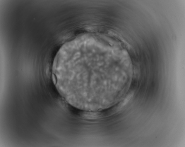 X0000086920671200705141723
