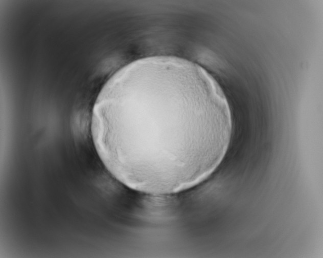 X0000086920672200705141723