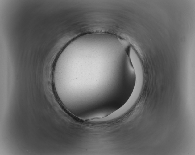 X0000086920673200705141723