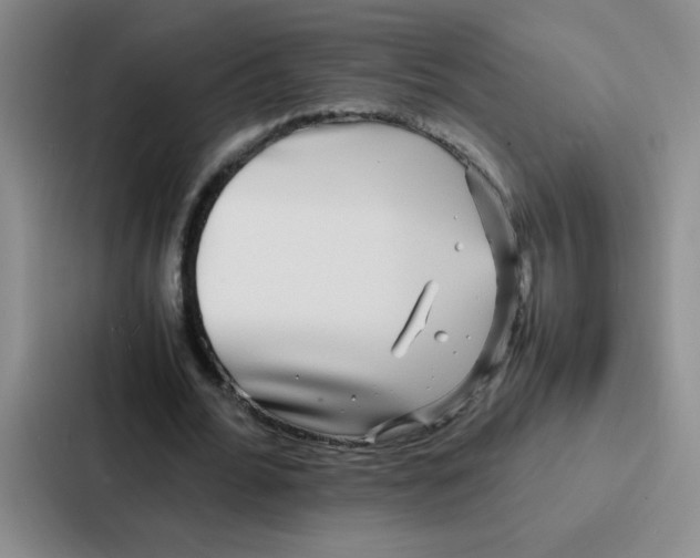 X0000086920676200705141723