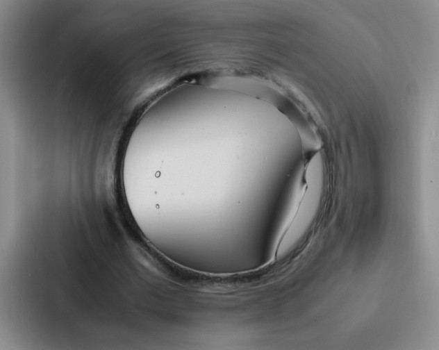X0000086920677200705141723