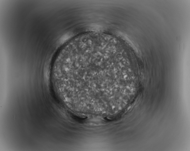 X0000086920679200705141723