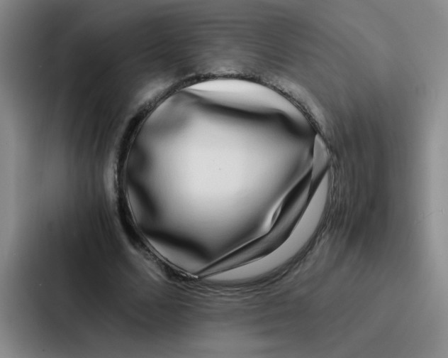 X0000086920680200705141723