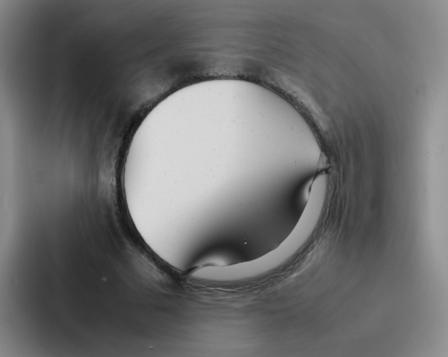 X0000086920681200705141723