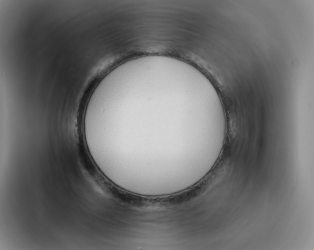X0000086920682200705141723
