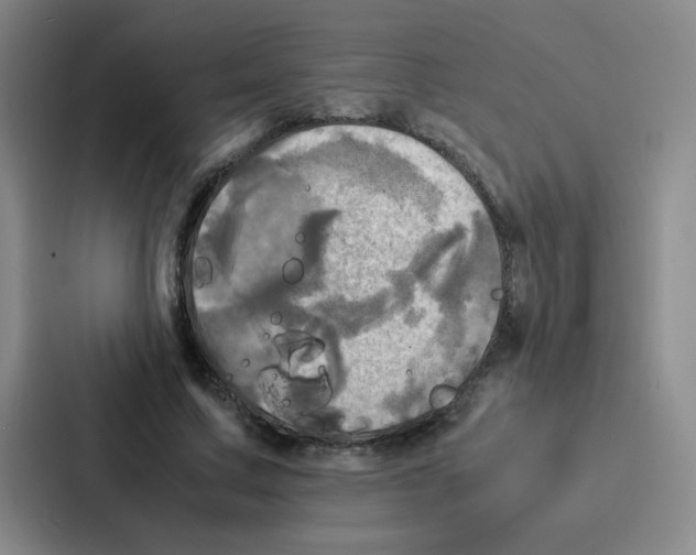 X0000086920683200705141723