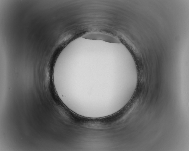 X0000086920685200705141723