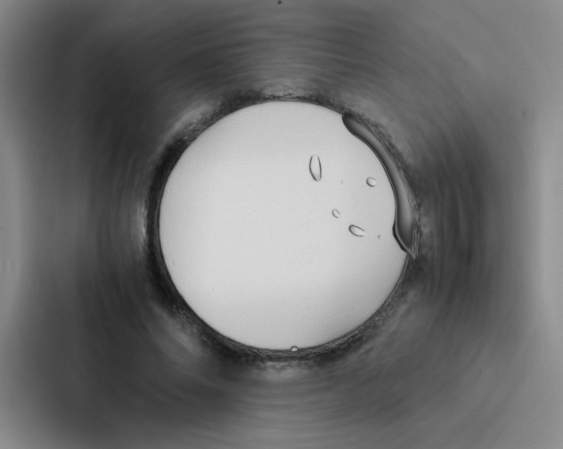 X0000086920686200705141723