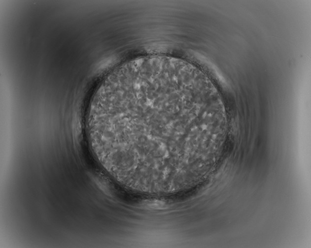 X0000086920687200705141723