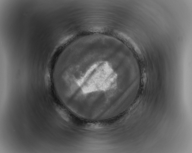 X0000086920688200705141723