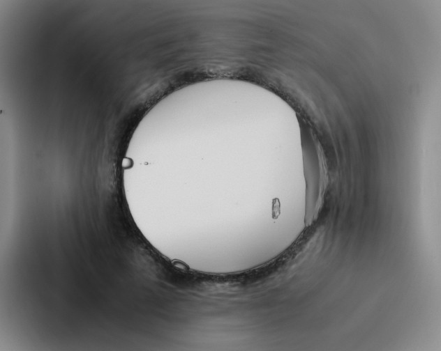 X0000086920689200705141723