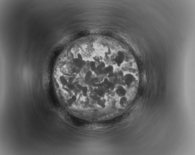 X0000086920691200705141723