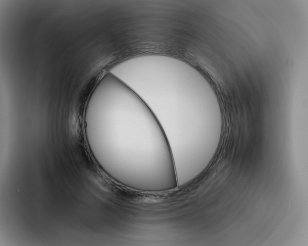 X0000086920692200705141723