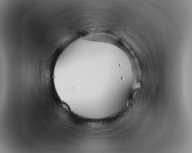 X0000086920693200705141723