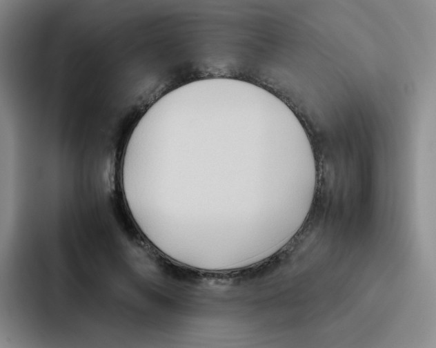 X0000086920694200705141722
