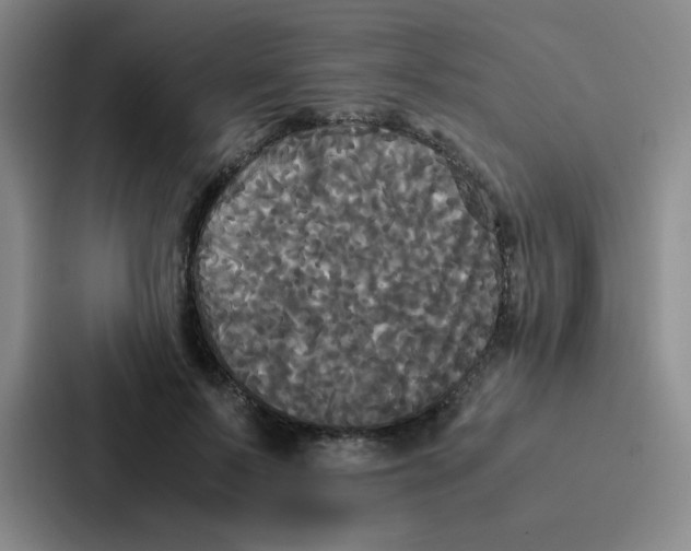 X0000086920695200705141722