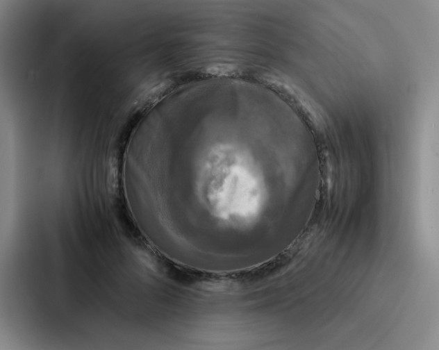 X0000086920696200705141722