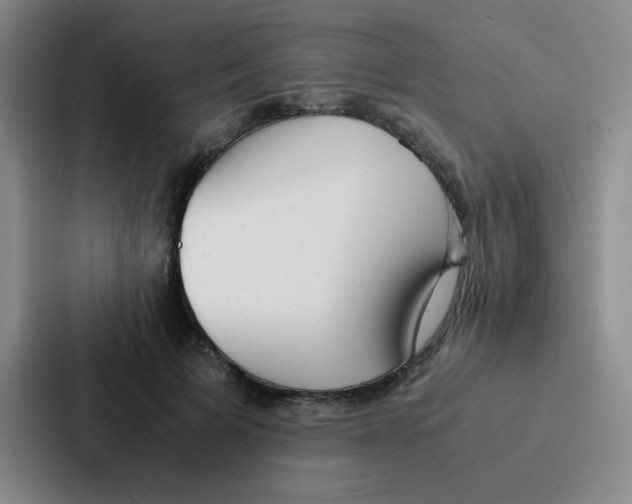 X0000086920697200705141722