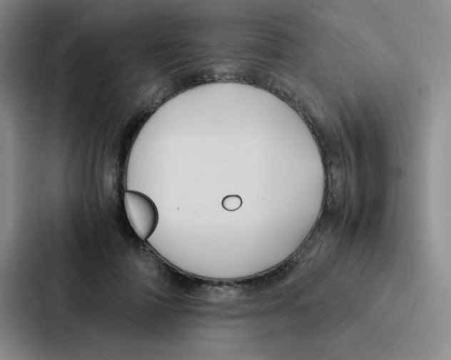 X0000086920698200705141722