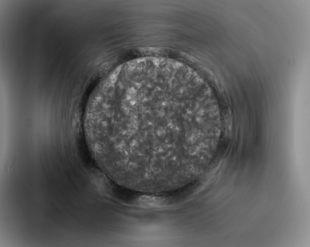 X0000086920699200705141722