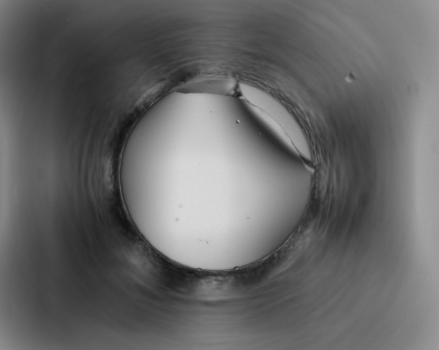 X0000086920700200705141722
