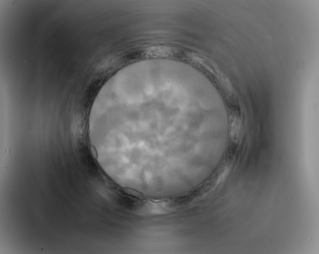 X0000086920701200705141722
