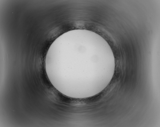 X0000086920702200705141722