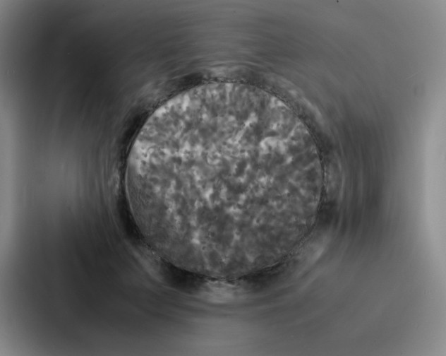 X0000086920703200705141722