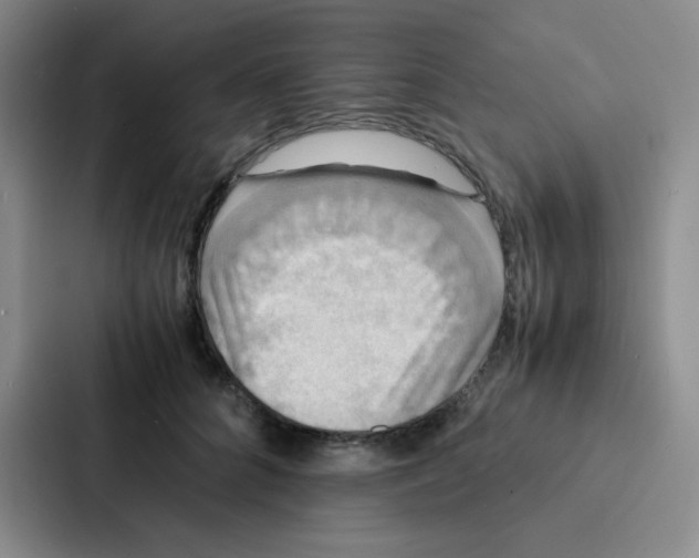 X0000086920704200705141722