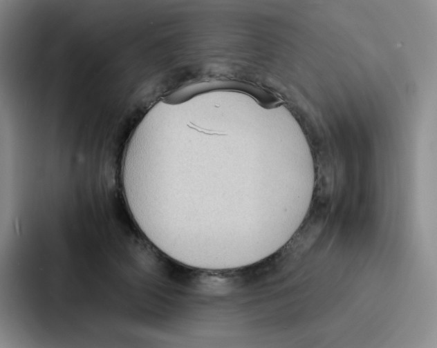X0000086920706200705141722