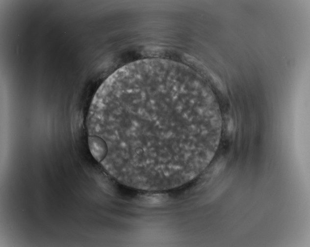 X0000086920711200705141722