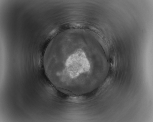 X0000086920712200705141722