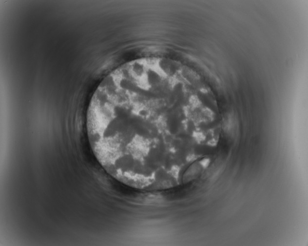 X0000086920715200705141722