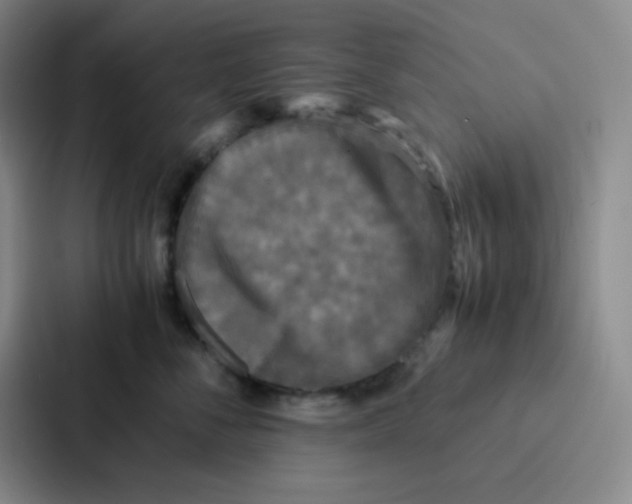 X0000086920716200705141722