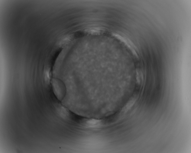 X0000086920718200705141722