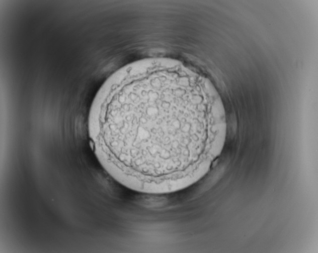 X0000086920719200705141722