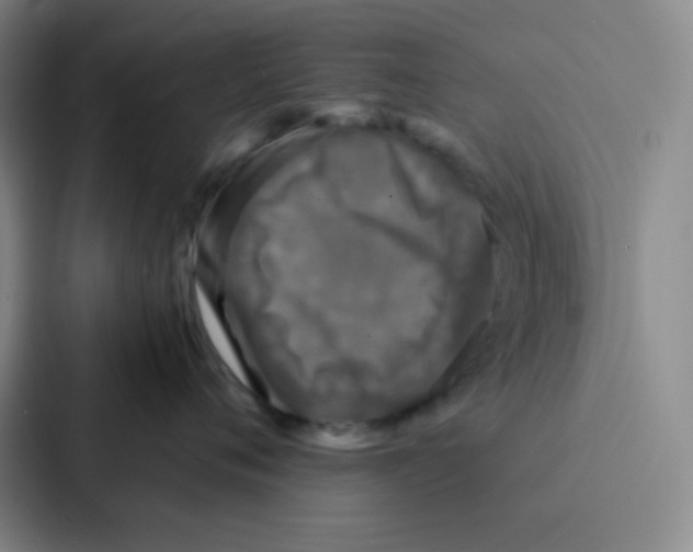 X0000086920720200705141722