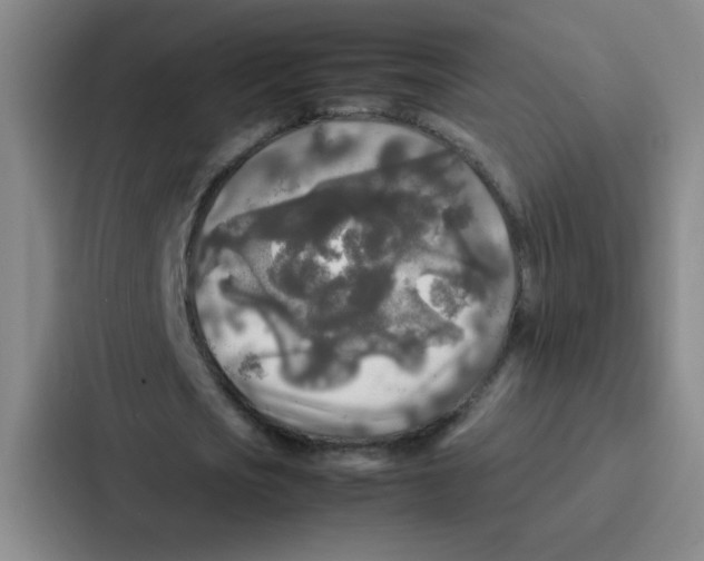 X0000086920721200705141722