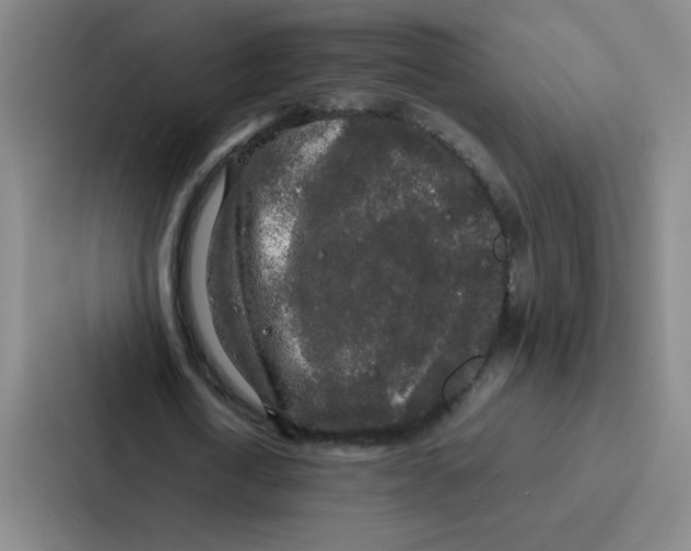 X0000086920722200705141722